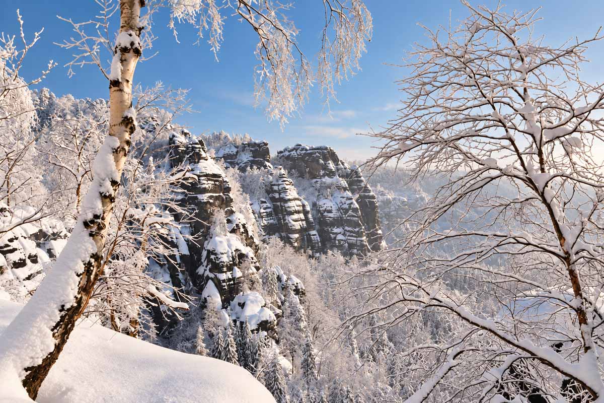 Verschneite Felsklippen im Winterwald Winterwandern in der Sächsischen Schweiz